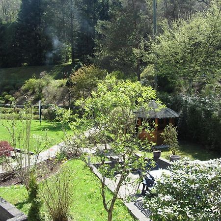 Pension Zum Rothaarsteig Netphen Εξωτερικό φωτογραφία
